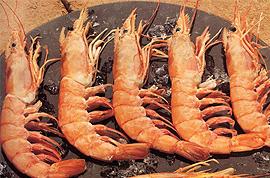 Langostino10/20 
