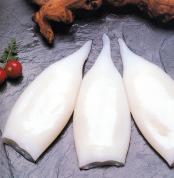 Tubos de calamar