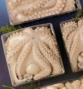Pulpo
