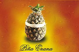 Piñas enanas 4 uds