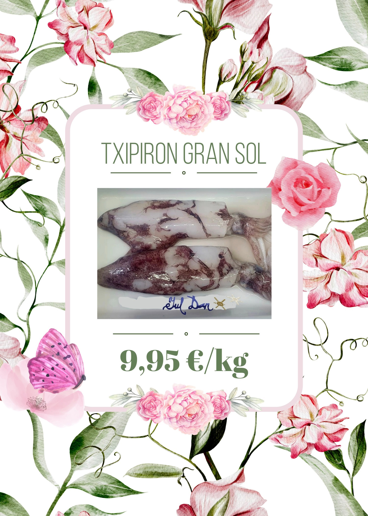 Txipiron cantábrico 