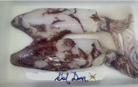 Txipirones del cantabrico 