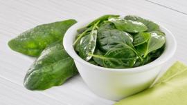 Espinaca hoja 