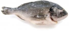 Dorada entera racion 