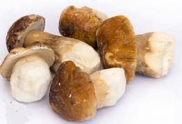 Boletus entero 