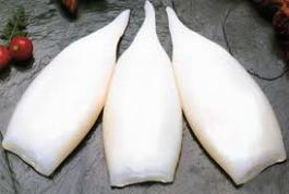 Tubo de calamar 1 kg