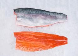 Fileton de salmon noruego
