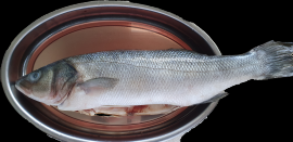 LUBINA SALVAJE AL HORNO 